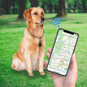 Inteligentne urządzenie śledzące GPS dla zwierząt domowych